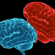 Illustration for article titled Fucking With Your Head: 10 Things You Might Not Know About Your Brain and Sex
